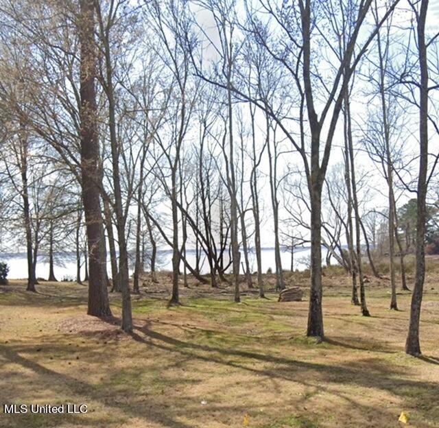 81 Grandview Circle Brandon, MS 39047 - Photo 4 of 13 IMG_6877