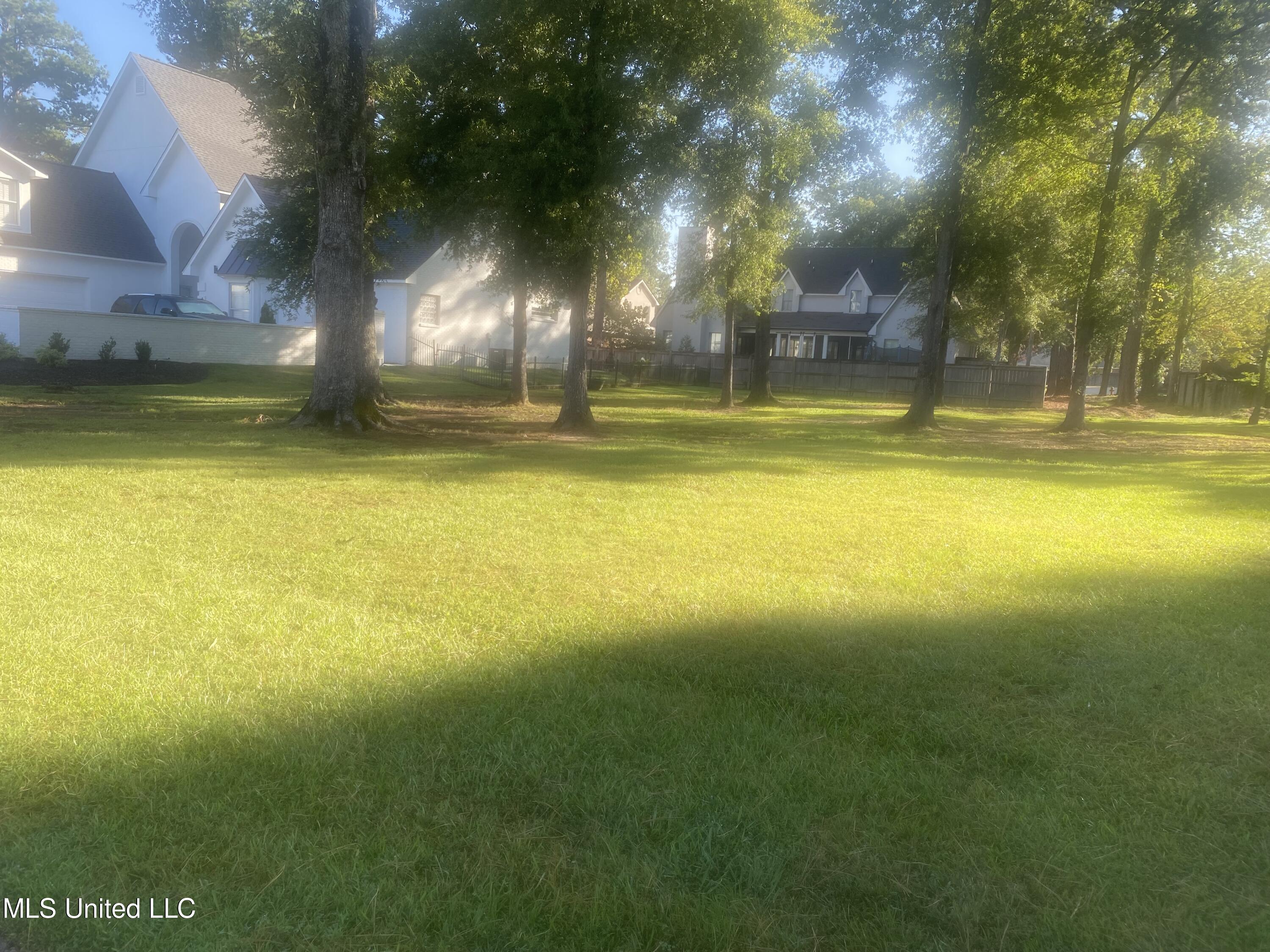 81 Grandview Circle Brandon, MS 39047 - Photo 6 of 13 IMG_7354