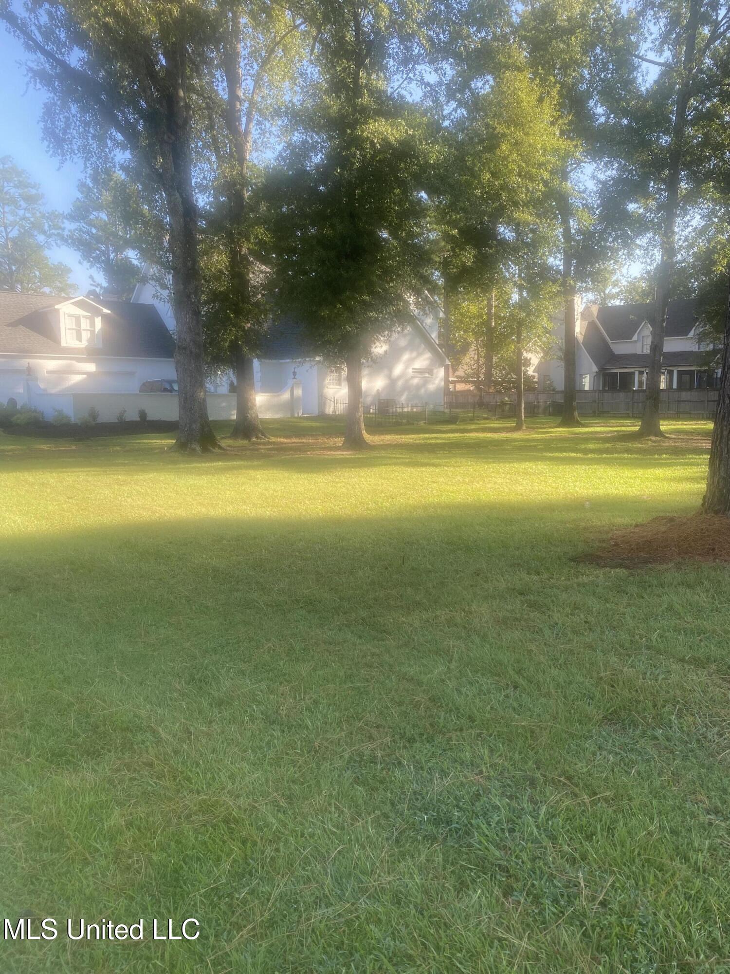 81 Grandview Circle Brandon, MS 39047 - Photo 8 of 13 IMG_7358