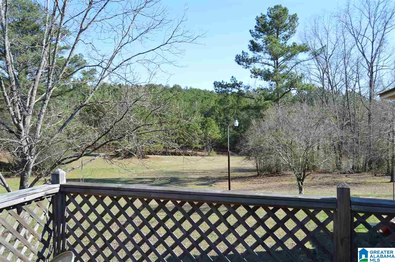 6269 Bibby Brickyard Road Dora, AL 35062 - Photo 3 of 32