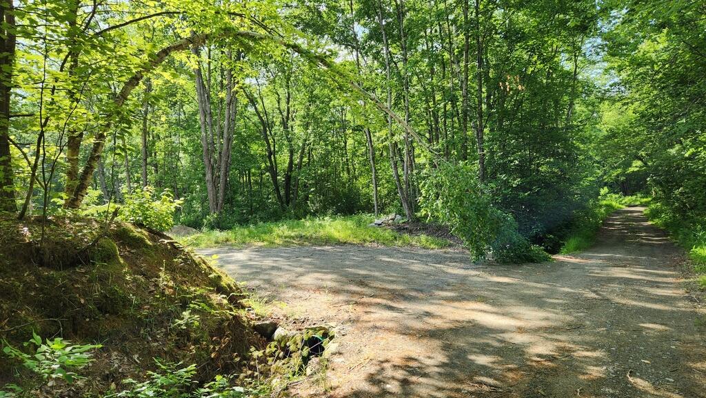 Lot 76 Flagg Road New Sharon, ME 04955 - Photo 14 of 51 20250619_164424_resized_1