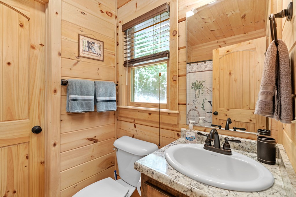 868 Granny Branch Drive Blue Ridge, GA 30513 - Photo 30 of 45 Gallery Image 30