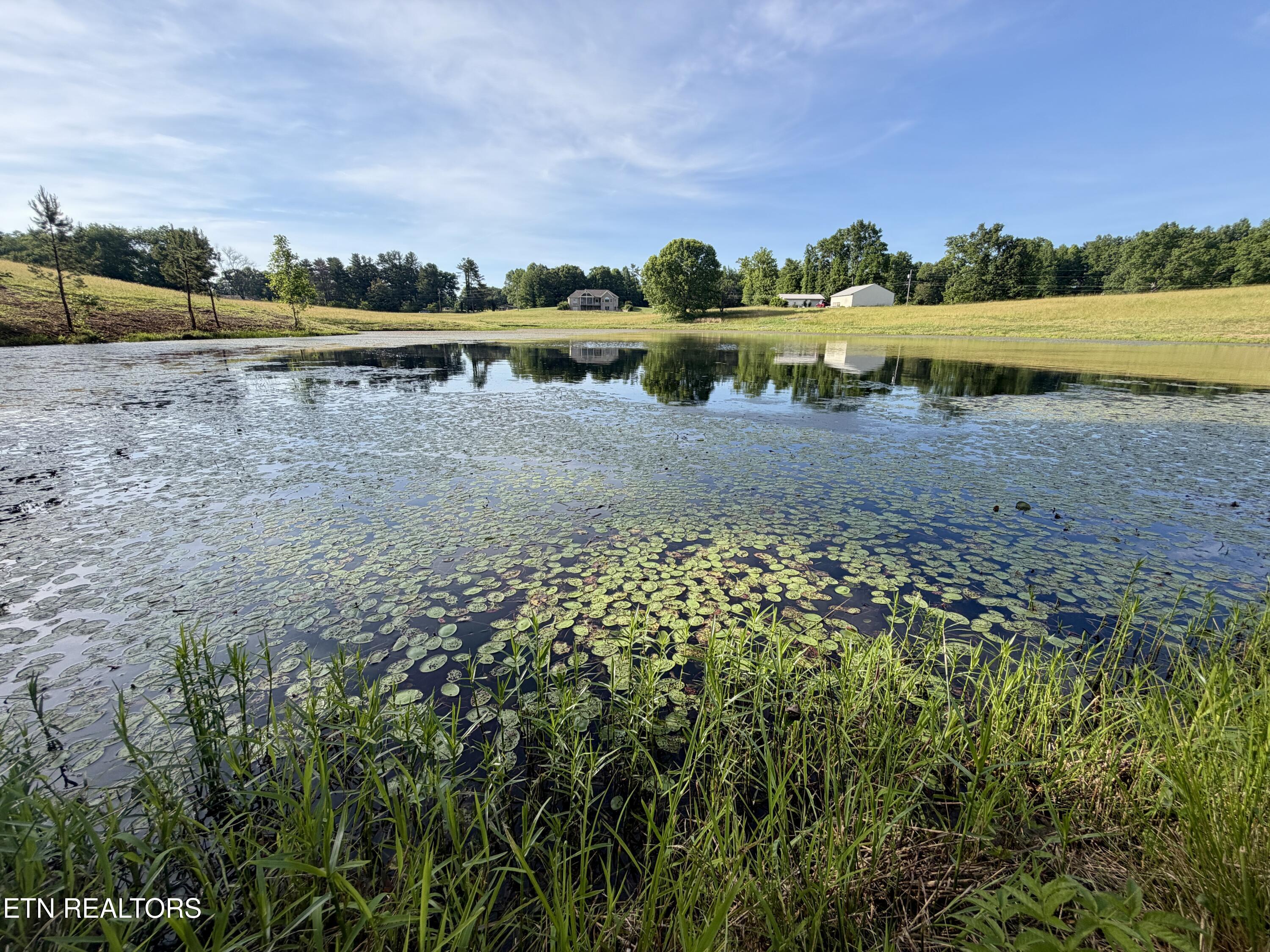1770 Buffalo Road Oneida, TN 37841 - Photo 56 of 57 84