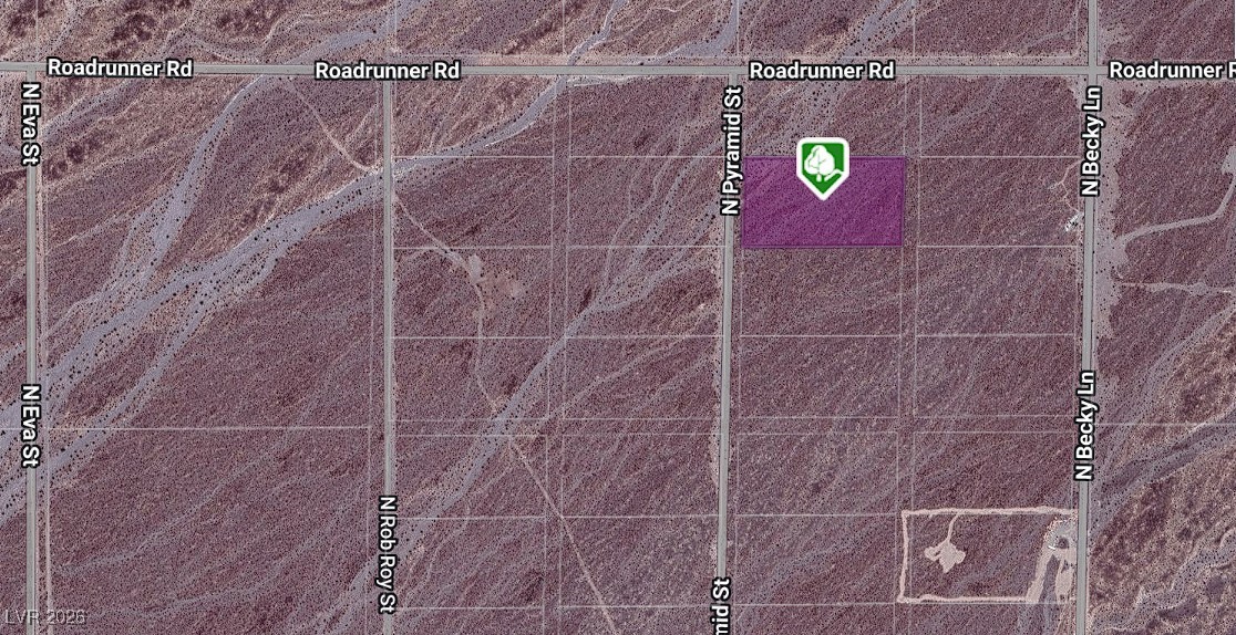 7900 North Zebra Road Pahrump, NV 89060 - Photo 2 of 2 Satelite view