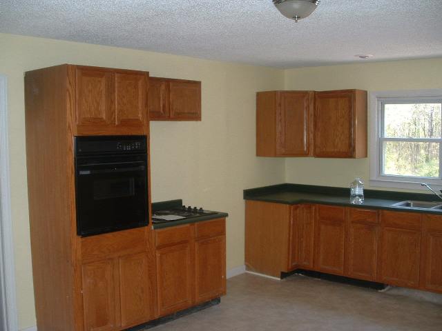 223 Spring Park Road Marietta, SC 29661 - Photo 3 of 8 Gallery Image 3