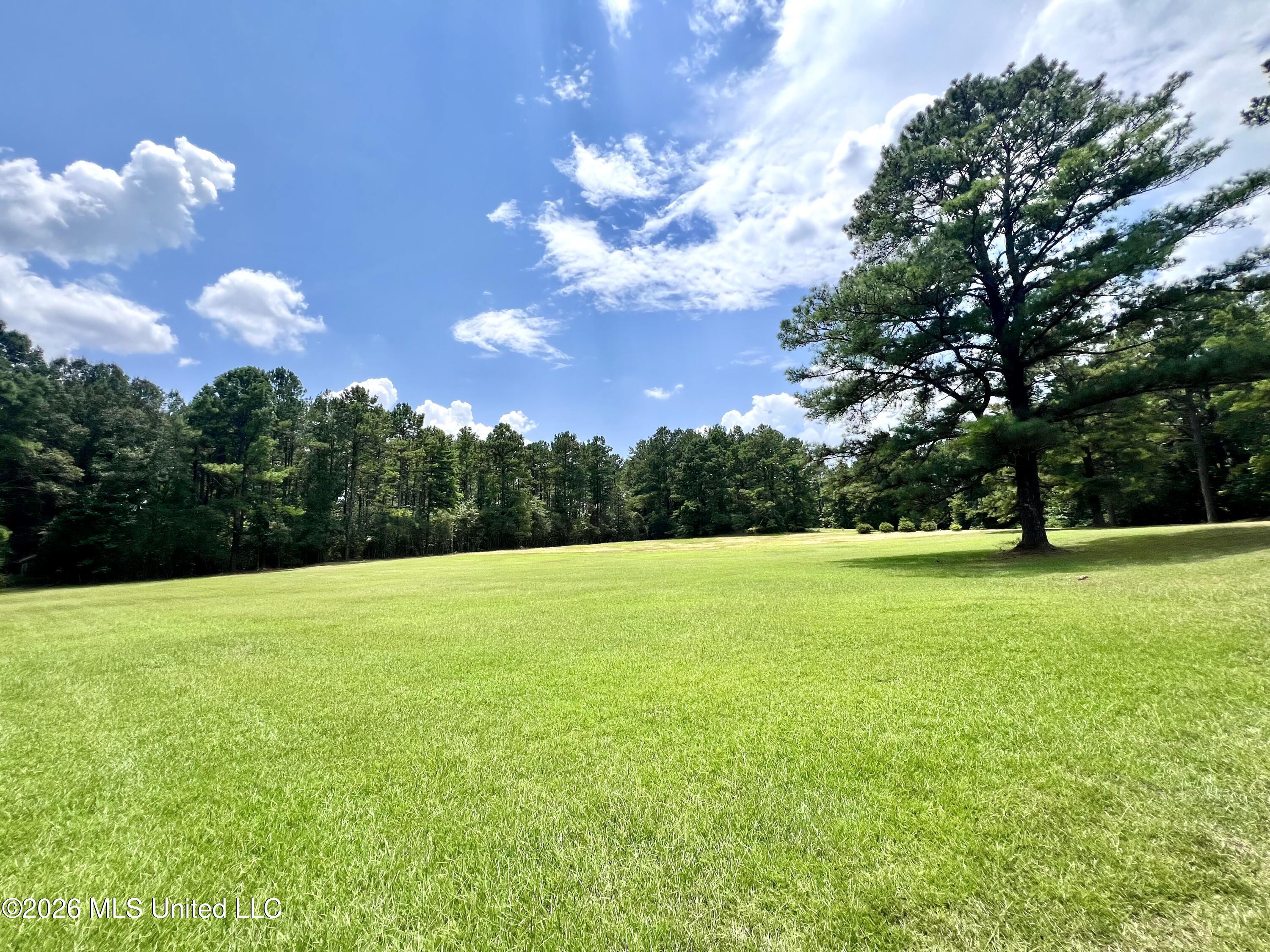 978 Butler Road Smithdale, MS 39664 - Photo 18 of 26 IMG_7242