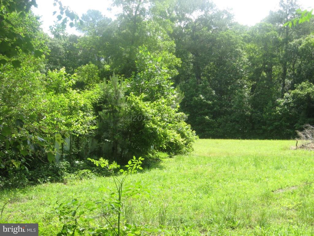31360 Dagsboro Road Delmar, MD 21875 - Photo 11 of 24 Gallery Image 11