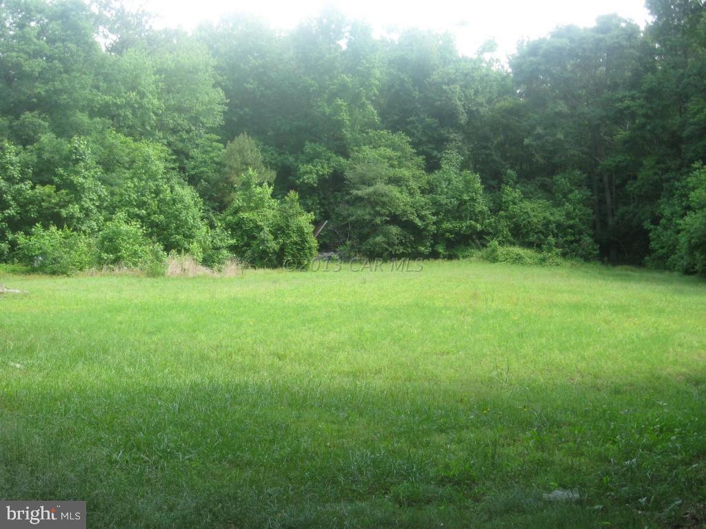 31360 Dagsboro Road Delmar, MD 21875 - Photo 12 of 24 Gallery Image 12