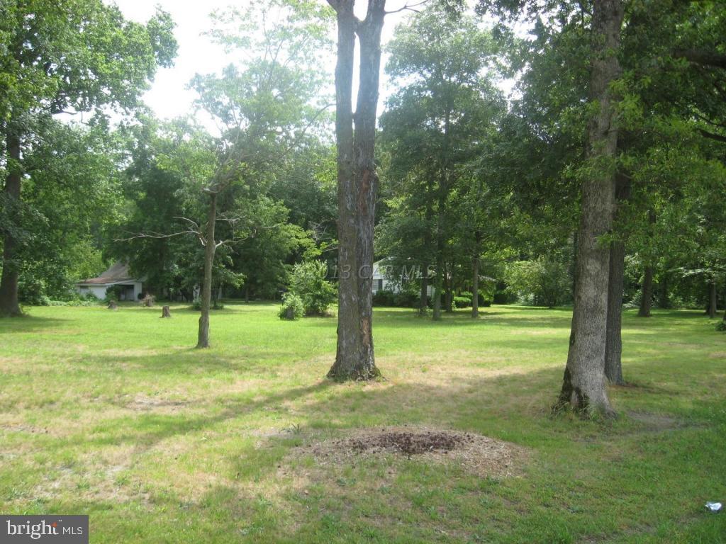 31360 Dagsboro Road Delmar, MD 21875 - Photo 10 of 24 Gallery Image 10