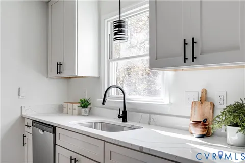 a kitchen with a sink and potted plant
