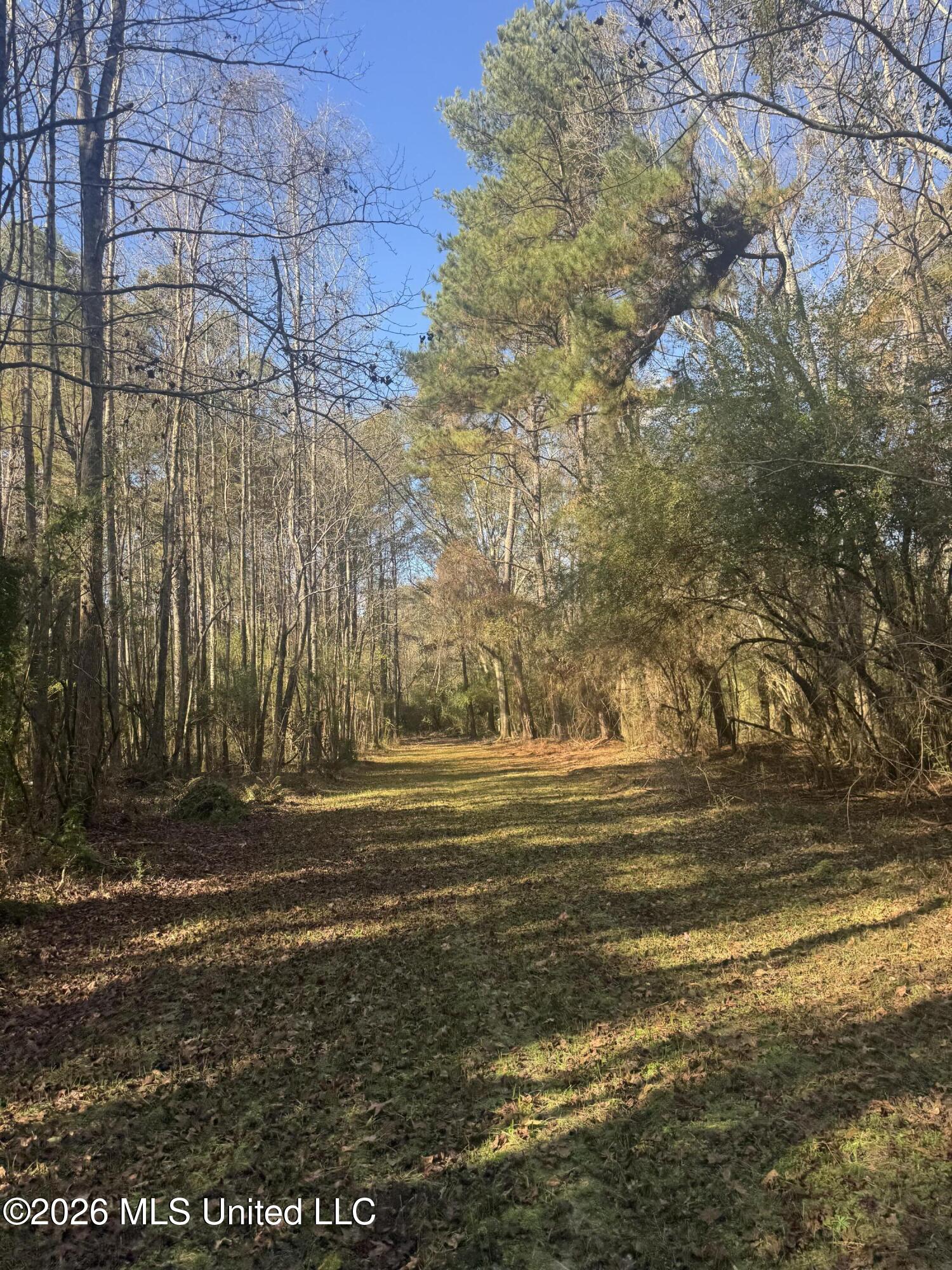 Mckenzie Road Tylertown, MS 39667 - Photo 44 of 50 44
