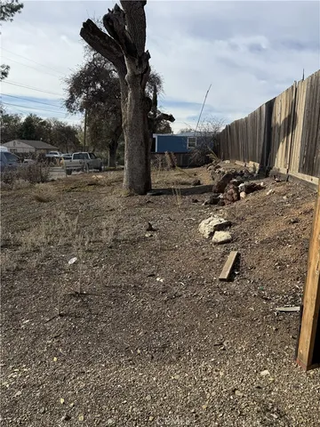 a view of a backyard with trees