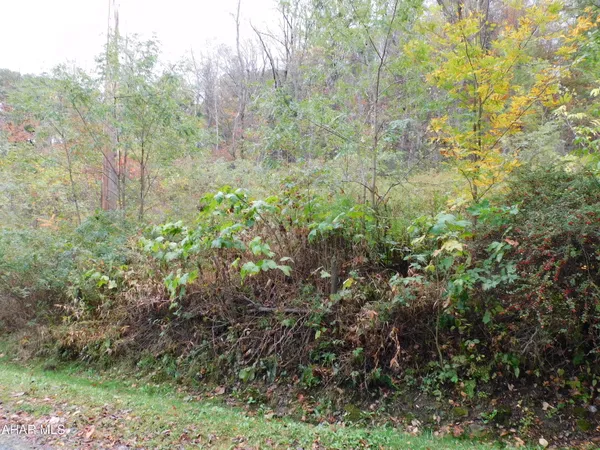 $15,000 | 0 Bradley Street, Elmora, PA 15737
