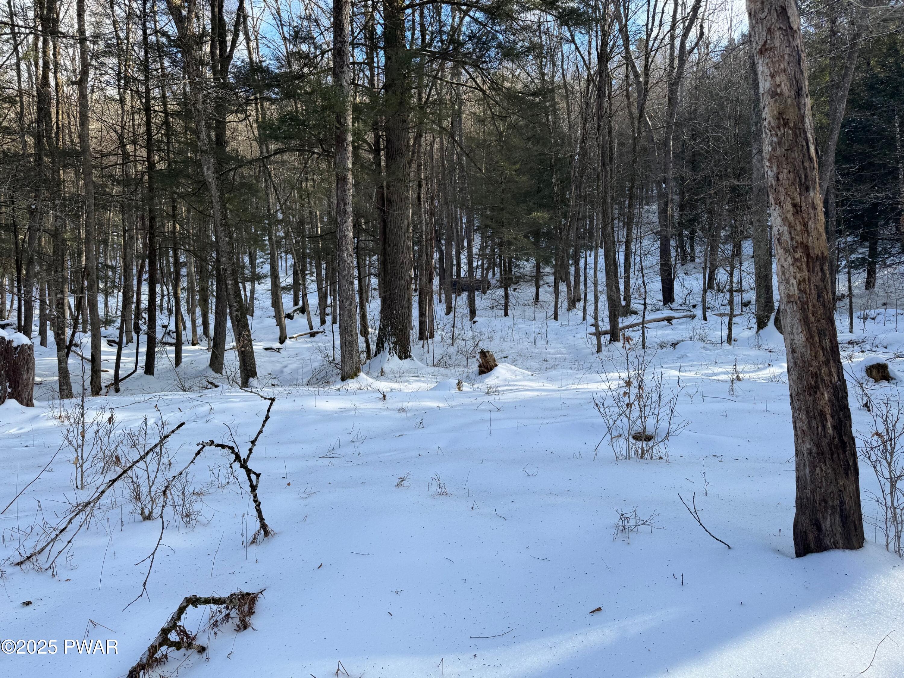 Davis Road Beach Lake, PA 18405 - Photo 6 of 12
