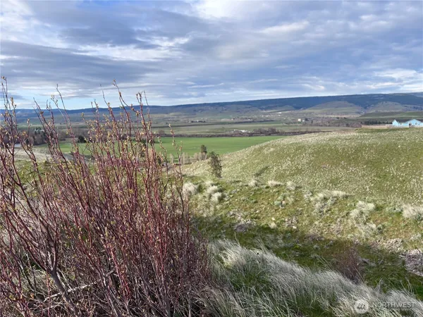a view of a water pond with green space