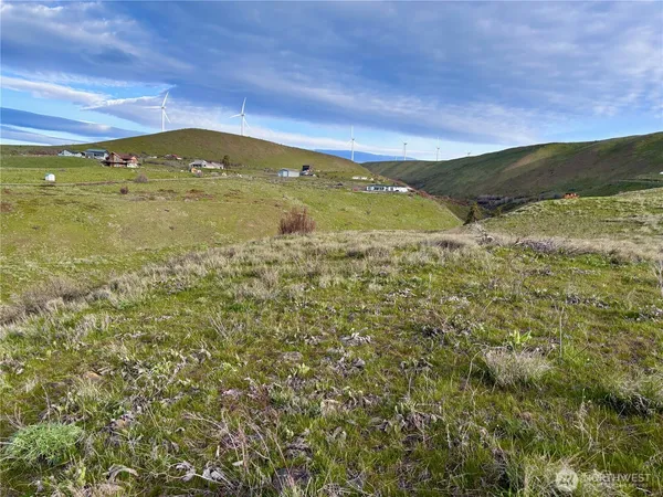 a view of a swimming pool with a yard