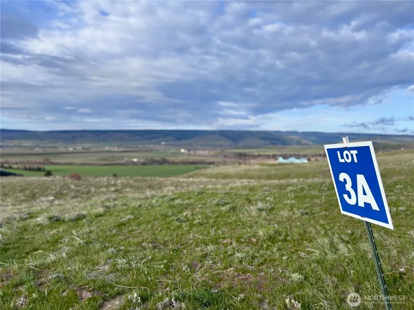 a view of an outdoor space and a yard