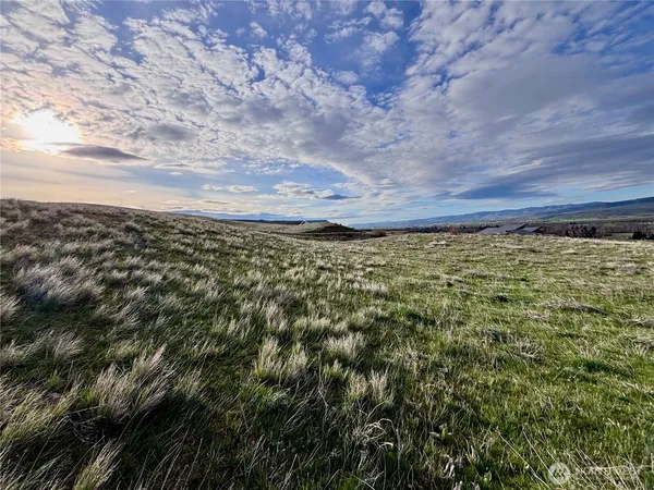 a view of a yard of the building