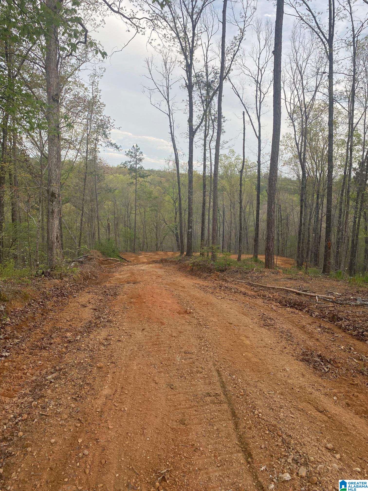 707 Sequoyah Road, Unit 1 Pell City, AL 35128 - Photo 3 of 18