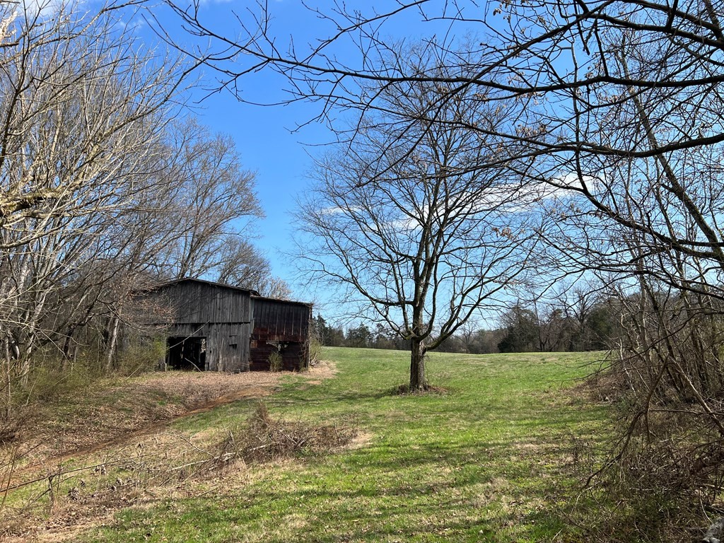 236 Loop Road Parrottsville, TN 37843 - Photo 21 of 21 Gallery Image 21