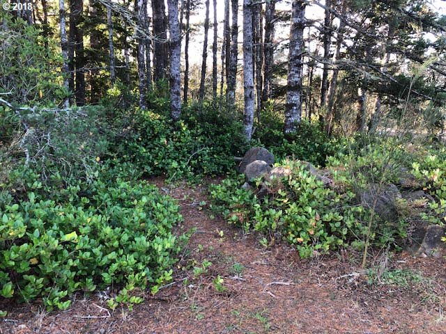 87941 Highway 101 Florence, OR 97439 - Photo 2 of 10