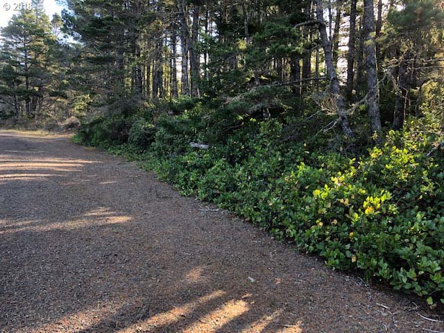 87941 Highway 101 Florence, OR 97439 - Photo 3 of 10