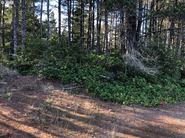 87941 Highway 101 Florence, OR 97439 - Photo 5 of 10