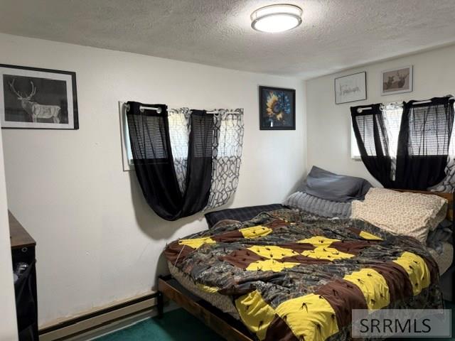 643 West 100 Road South Blackfoot, ID 83221 - Photo 34 of 39 Rental bed 1