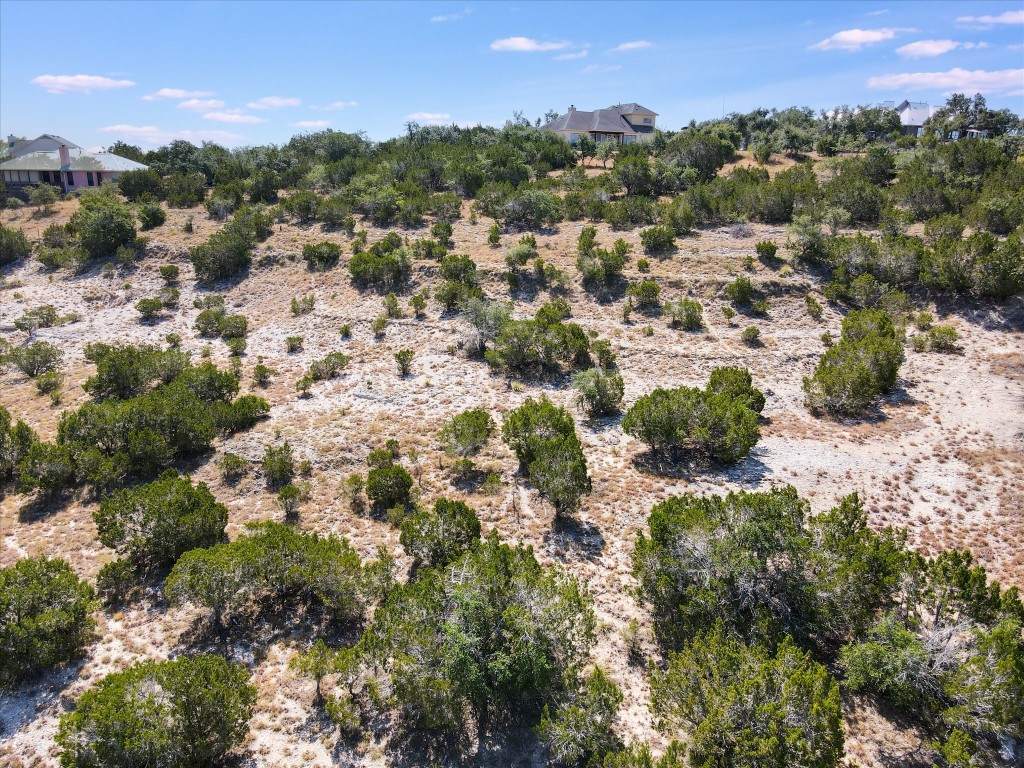 17811 Mason Dixon Circle Dripping Springs, TX 78620 - Photo 10 of 11 a view of a city