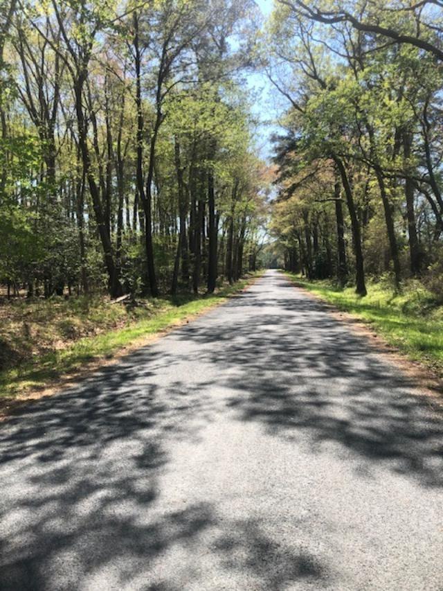 0 Alicato Road, Unit 6 7 Parksley, VA 23421 - Photo 2 of 2