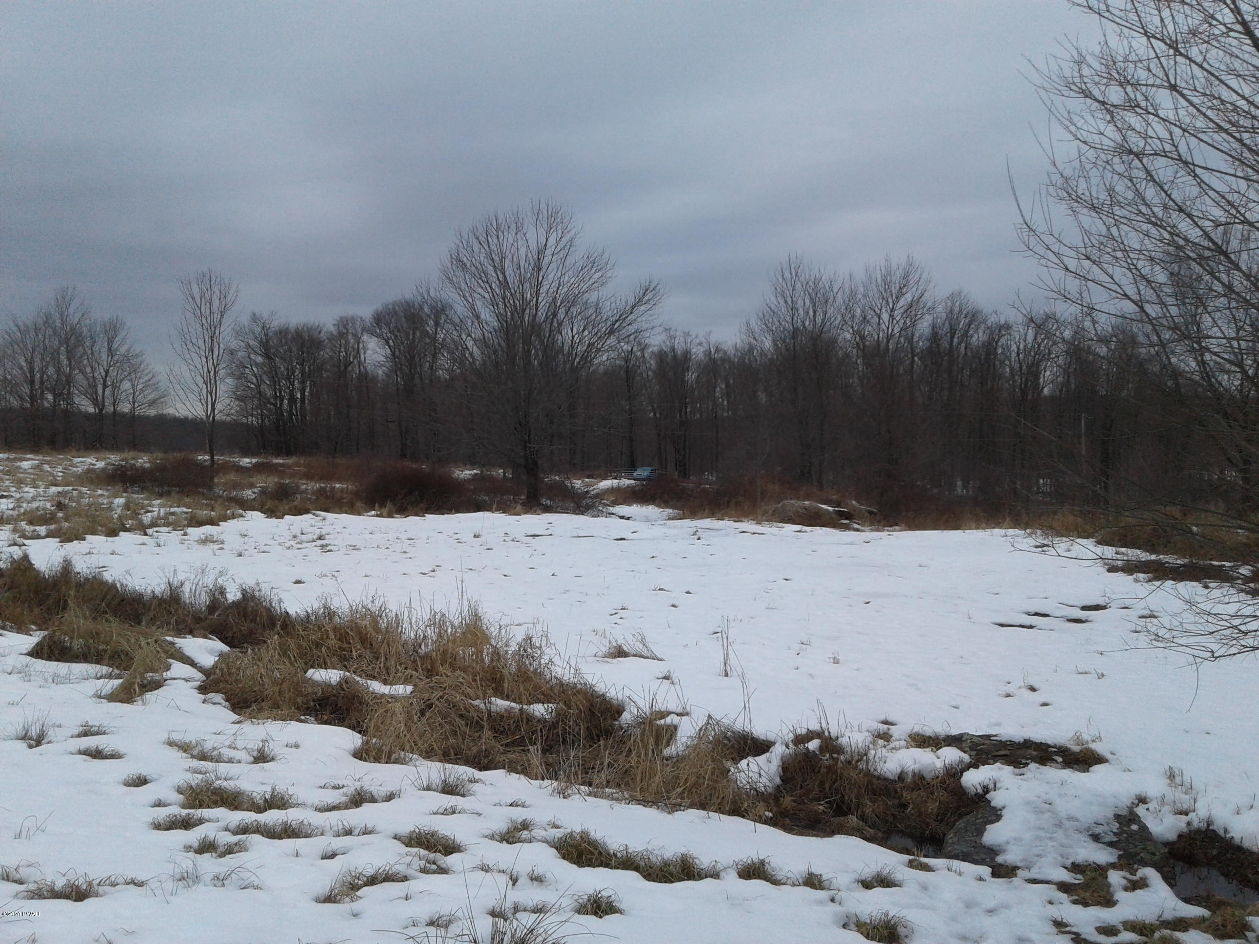 Hickory Hill Road Starrucca, PA 18462 - Photo 4 of 15