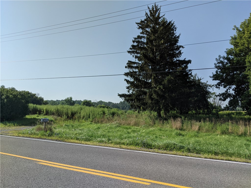 View from the Road.