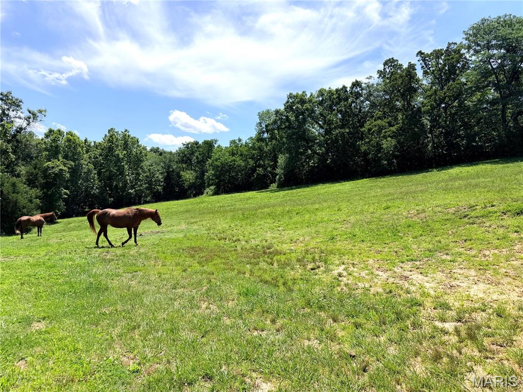 1086 Mill Hill Road St. Clair, MO 63077 - Photo 10 of 34