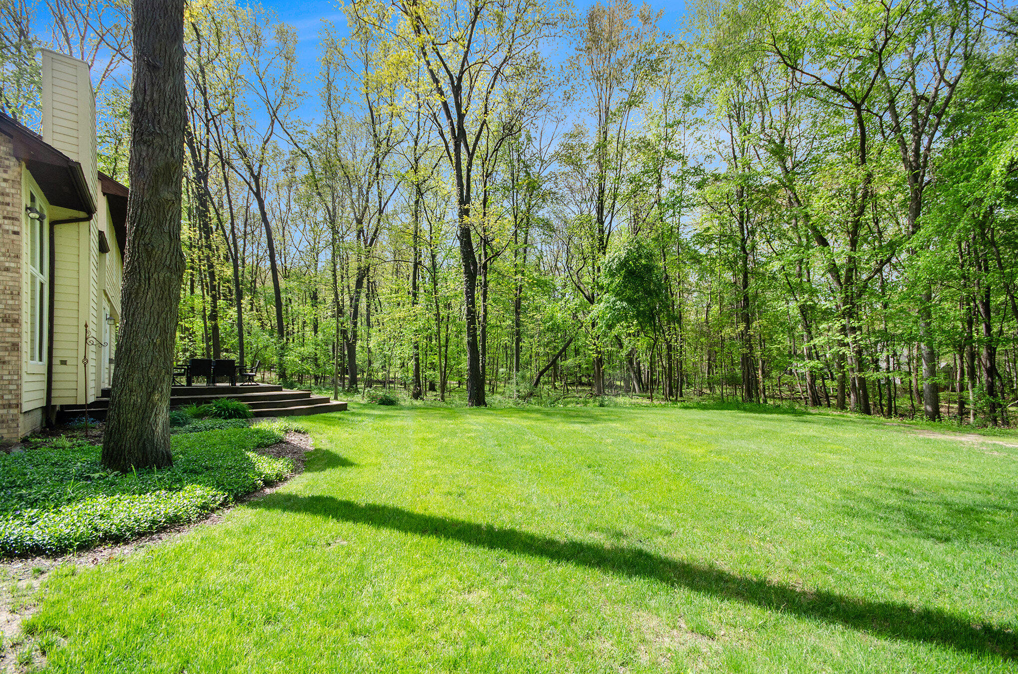 8461 Webster Hills Road Dexter, MI 48130 - Photo 30 of 34 029_dsc_0655_832
