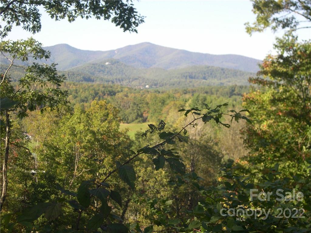 Six Springs Ridge Road, Unit 3 Spruce Pine, NC 28777 - Photo 12 of 17 Gallery Image 12