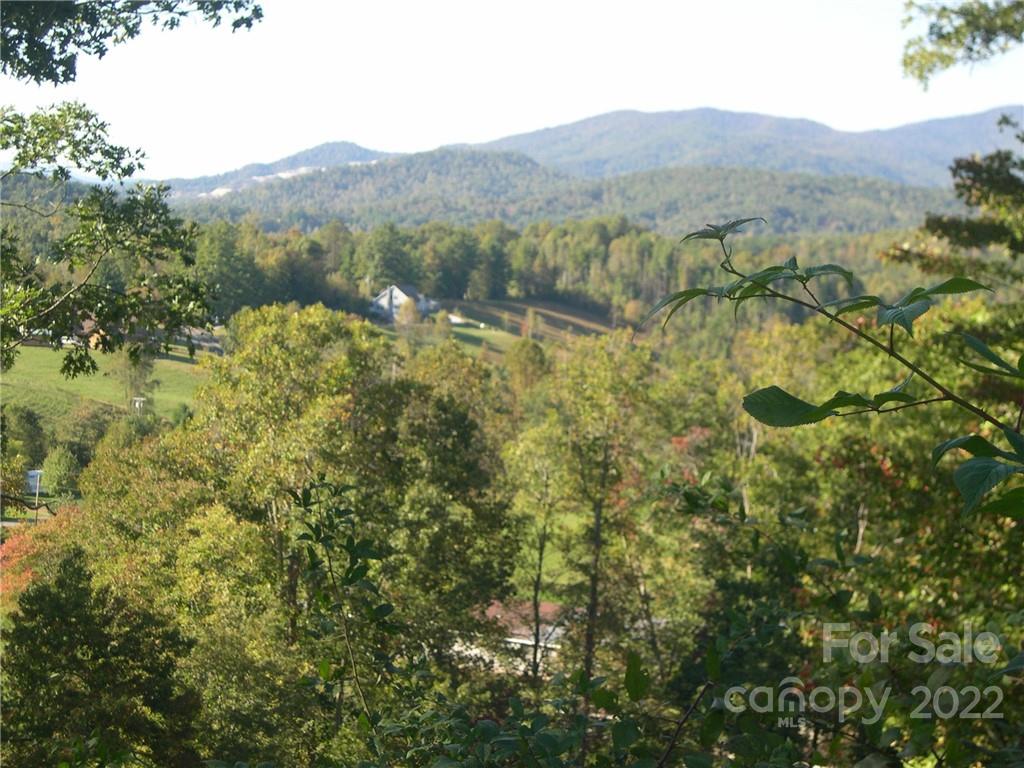 Six Springs Ridge Road, Unit 3 Spruce Pine, NC 28777 - Photo 13 of 17 Gallery Image 13