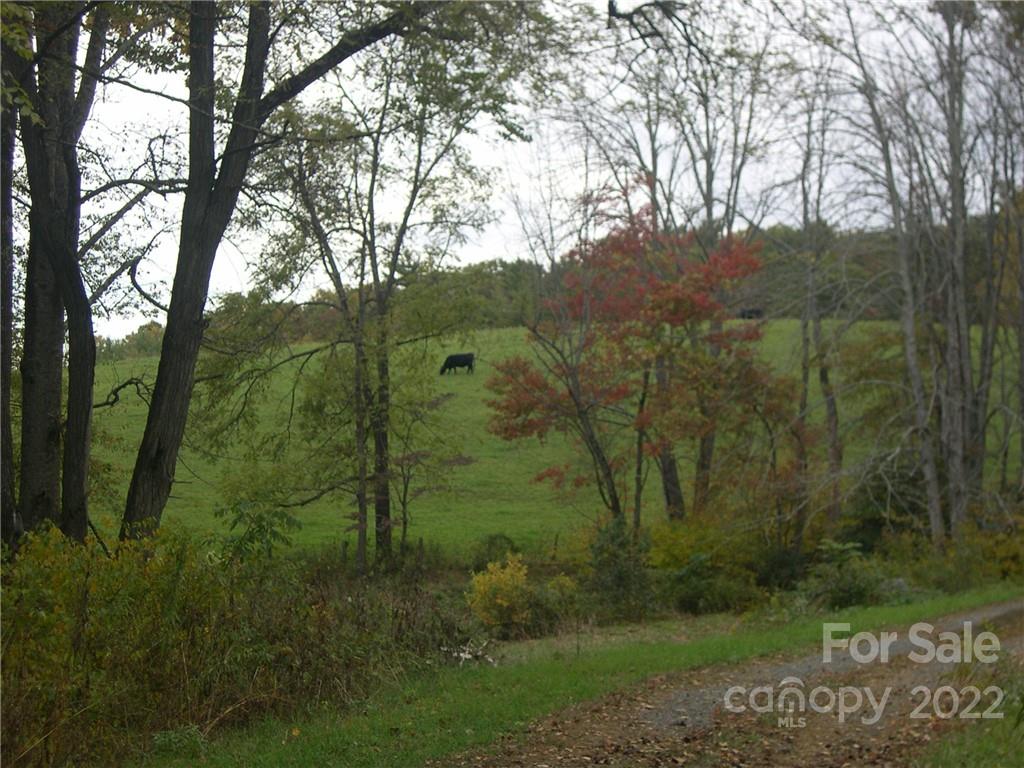 Six Springs Ridge Road, Unit 3 Spruce Pine, NC 28777 - Photo 17 of 17 Gallery Image 17
