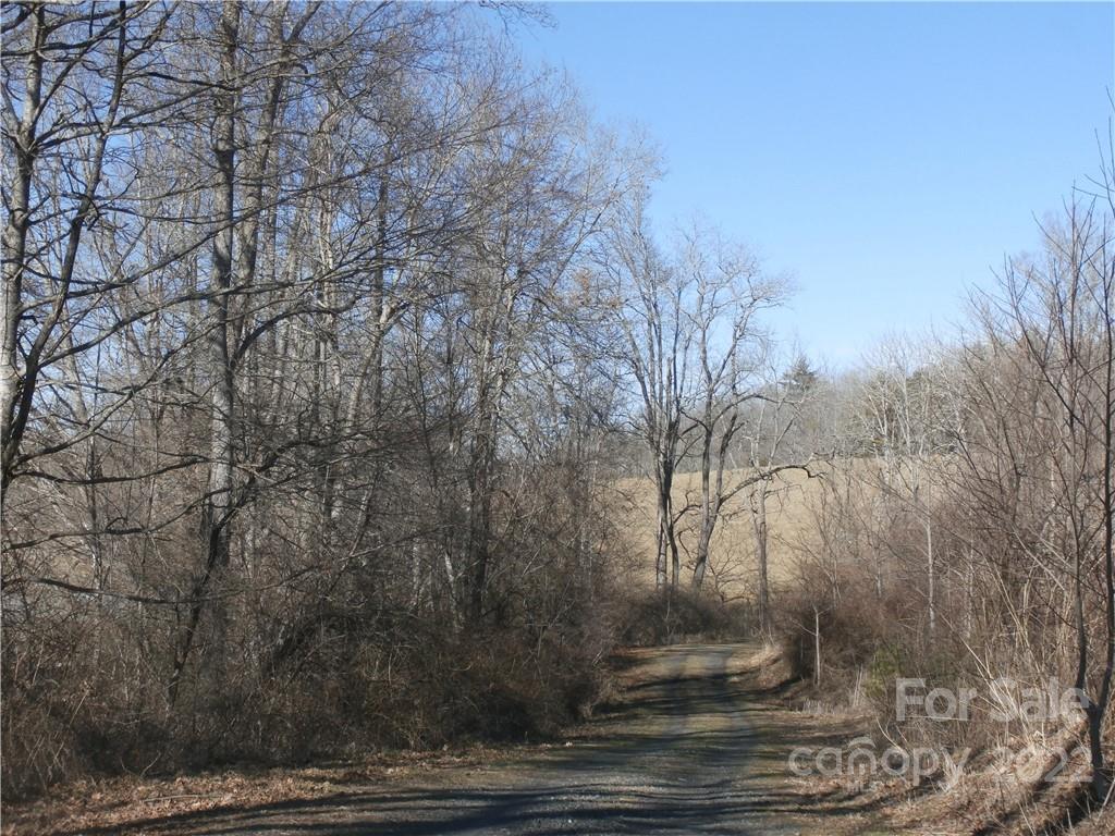 Six Springs Ridge Road, Unit 3 Spruce Pine, NC 28777 - Photo 2 of 17 Gallery Image 2