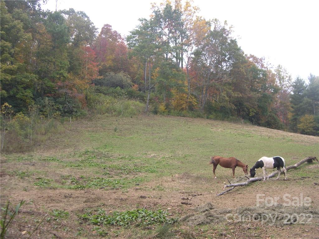 Six Springs Ridge Road, Unit 3 Spruce Pine, NC 28777 - Photo 3 of 17 Gallery Image 3