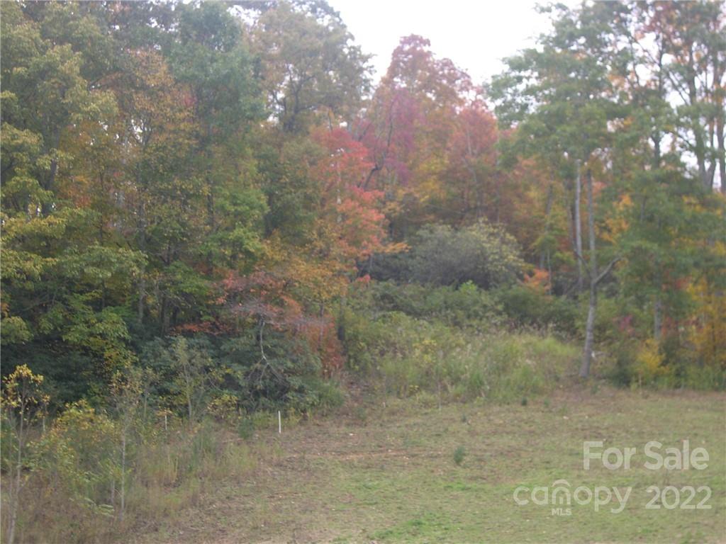 Six Springs Ridge Road, Unit 3 Spruce Pine, NC 28777 - Photo 4 of 17 Gallery Image 4