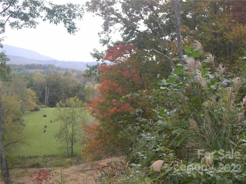 Six Springs Ridge Road, Unit 3 Spruce Pine, NC 28777 - Photo 5 of 17 Gallery Image 5