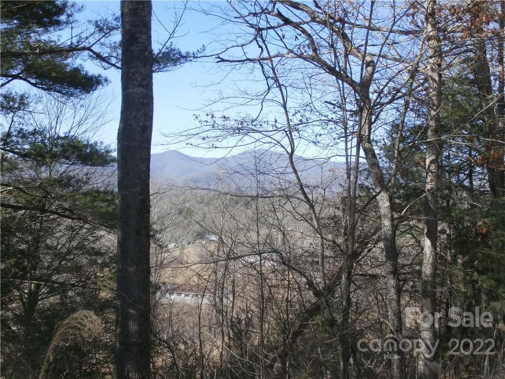 Six Springs Ridge Road, Unit 3 Spruce Pine, NC 28777 - Photo 7 of 17 Gallery Image 7