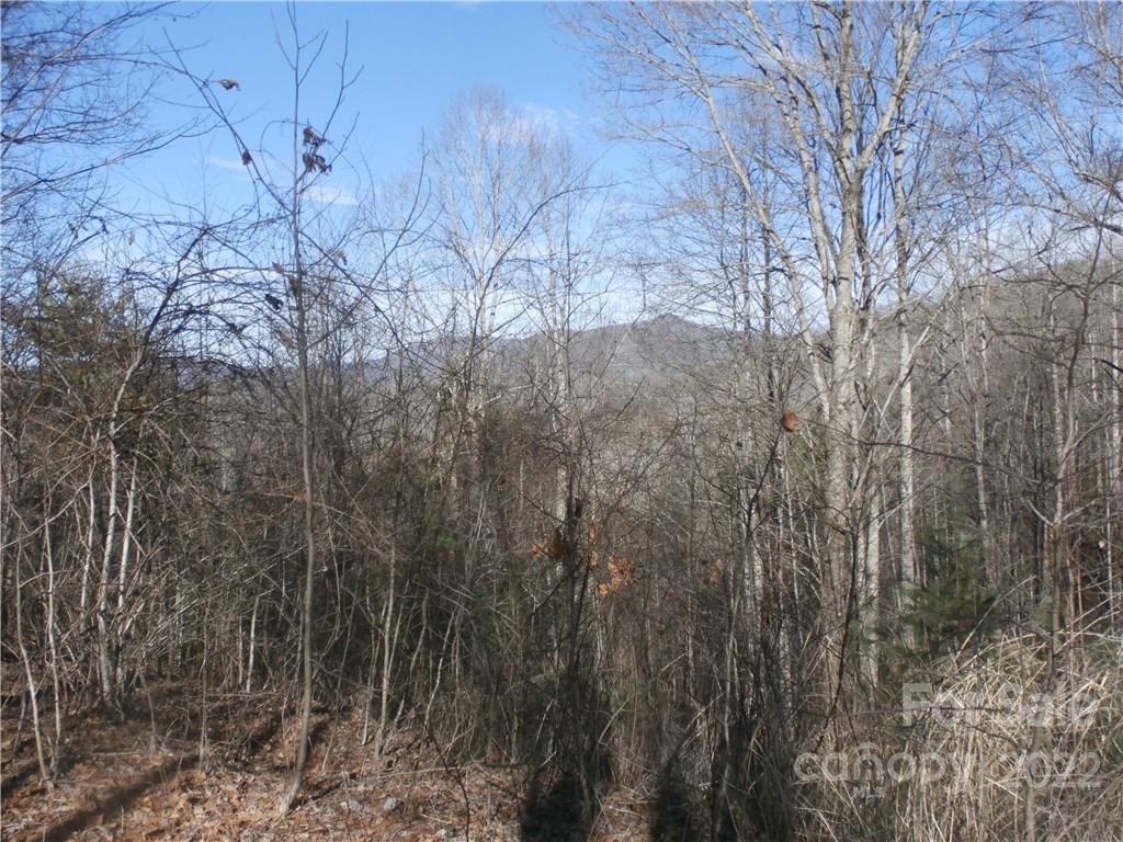 Six Springs Ridge Road, Unit 3 Spruce Pine, NC 28777 - Photo 9 of 17 Gallery Image 9