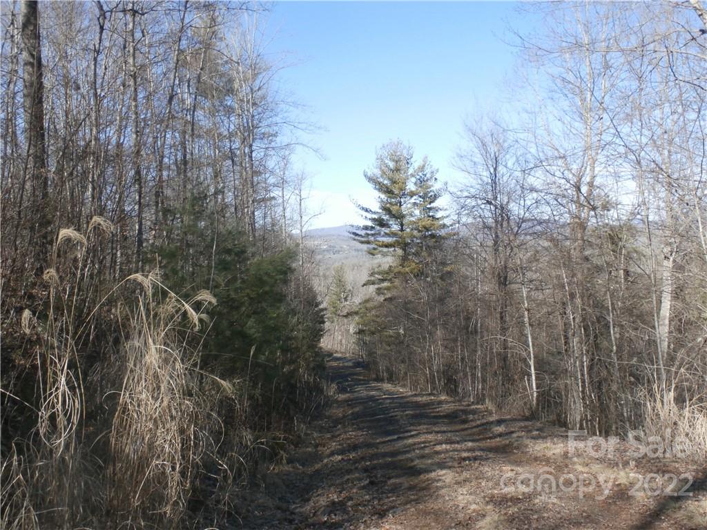 Six Springs Ridge Road, Unit 3 Spruce Pine, NC 28777 - Photo 10 of 17 Gallery Image 10