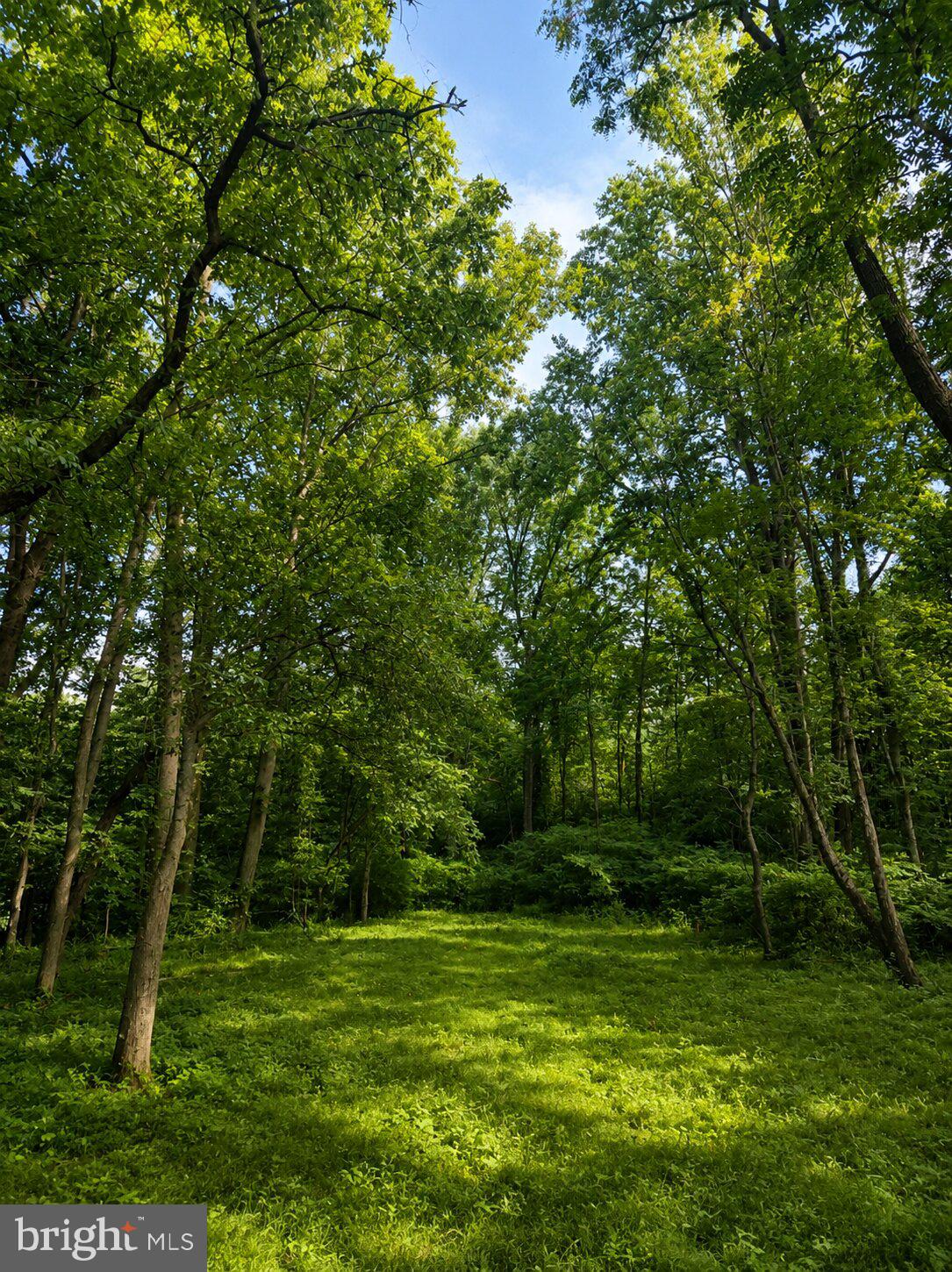 1475 Langhorne Yardley Road Langhorne, PA 19047 - Photo 21 of 28 Serene woodland escape awaits.