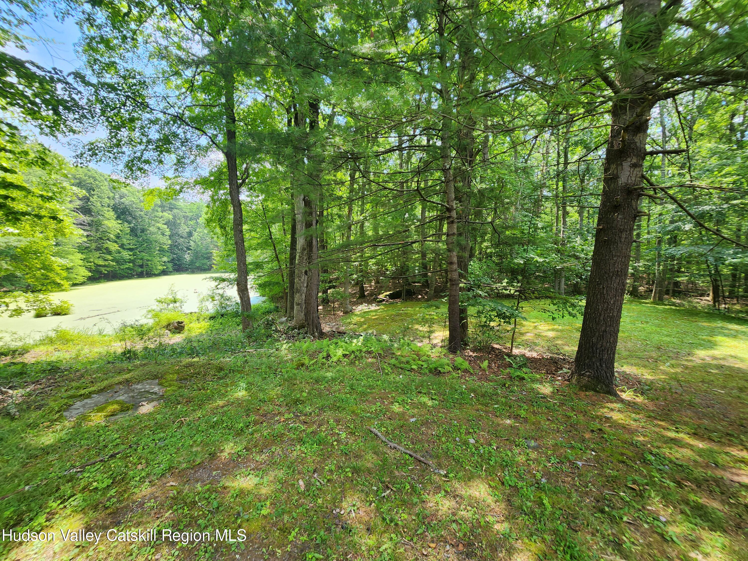 597 Doman Road, Unit 2 Freehold, NY 12431 - Photo 3 of 19 domain pond