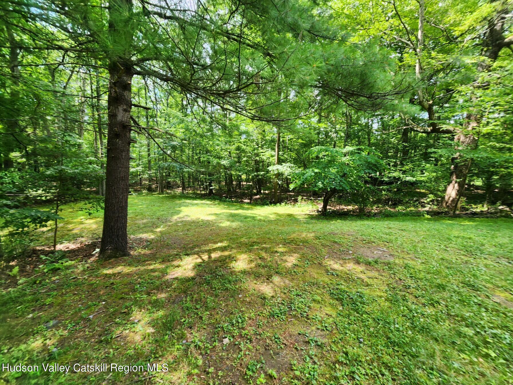 597 Doman Road, Unit 2 Freehold, NY 12431 - Photo 4 of 19 domain back yard