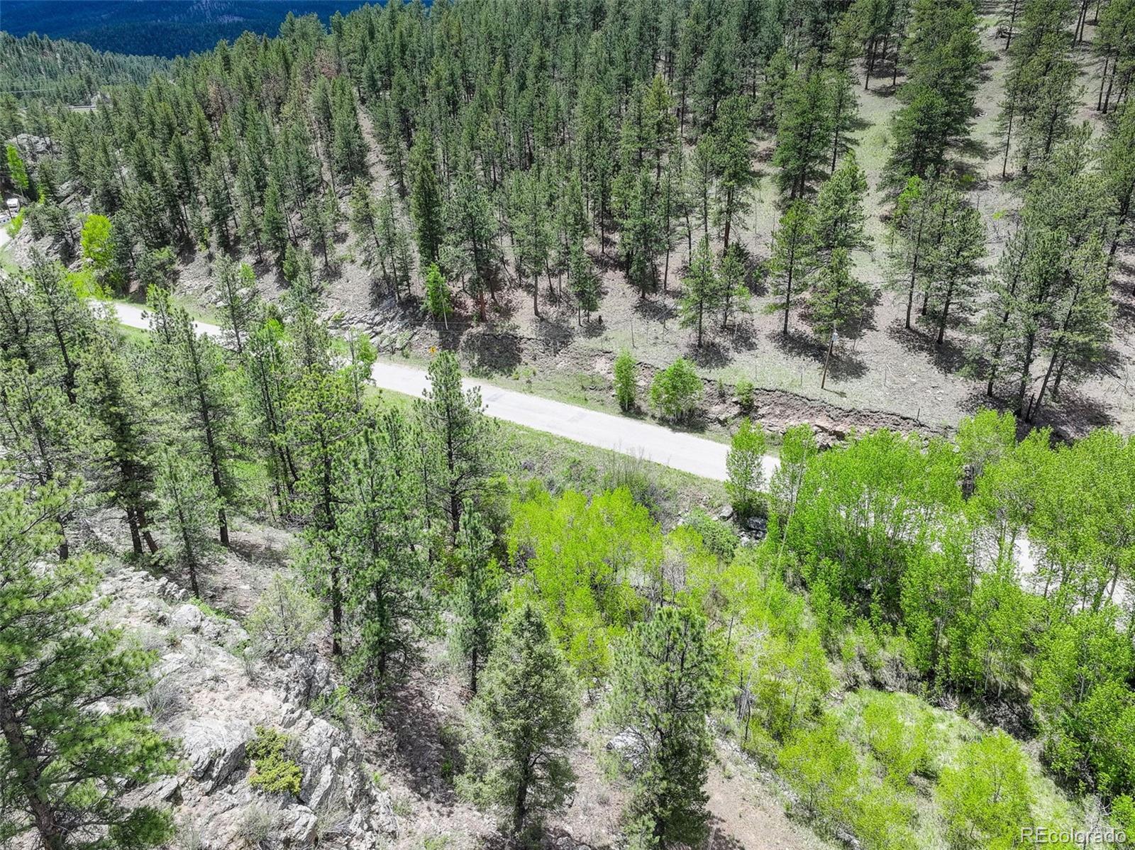 400 Crow Valley Road Bailey, CO 80421 - Photo 7 of 28