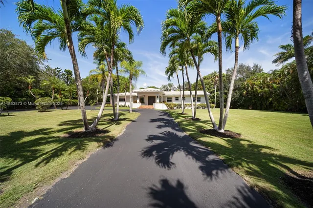 a view of a park with palm trees