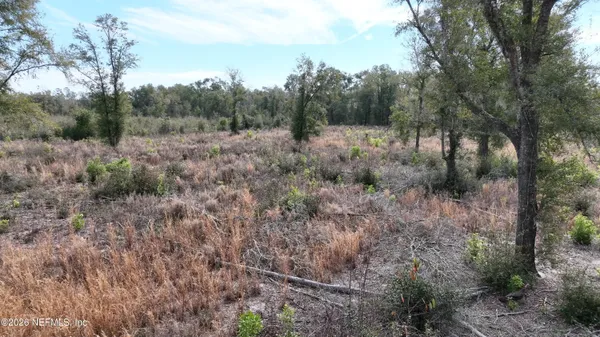 $250,000 | 0 Lake City Lake, Lake City, FL 32025